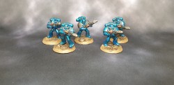 20201231_162728.jpg (3.2 MiB) 15579 mal betrachtet Legion Tactical Support Squad mit Melter